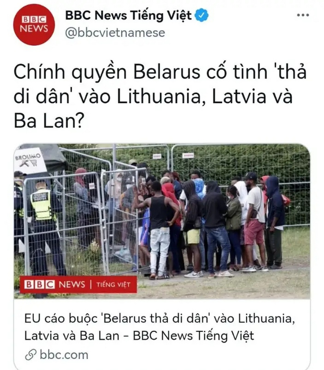 开云下载-白俄罗斯主场大胜立陶宛，小组排名上升的简单介绍