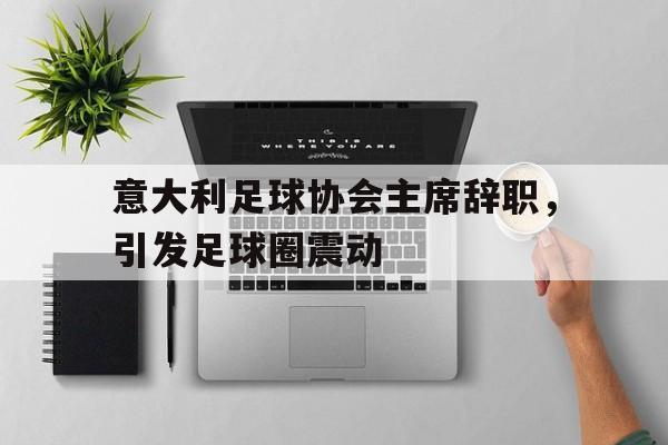 开云体育下载-关于意大利足球协会主席辞职，引发足球圈震动的信息