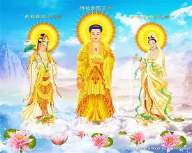 圣鲁尔对阵维尔贝克：瑞克之争攸关胜利大势的简单介绍