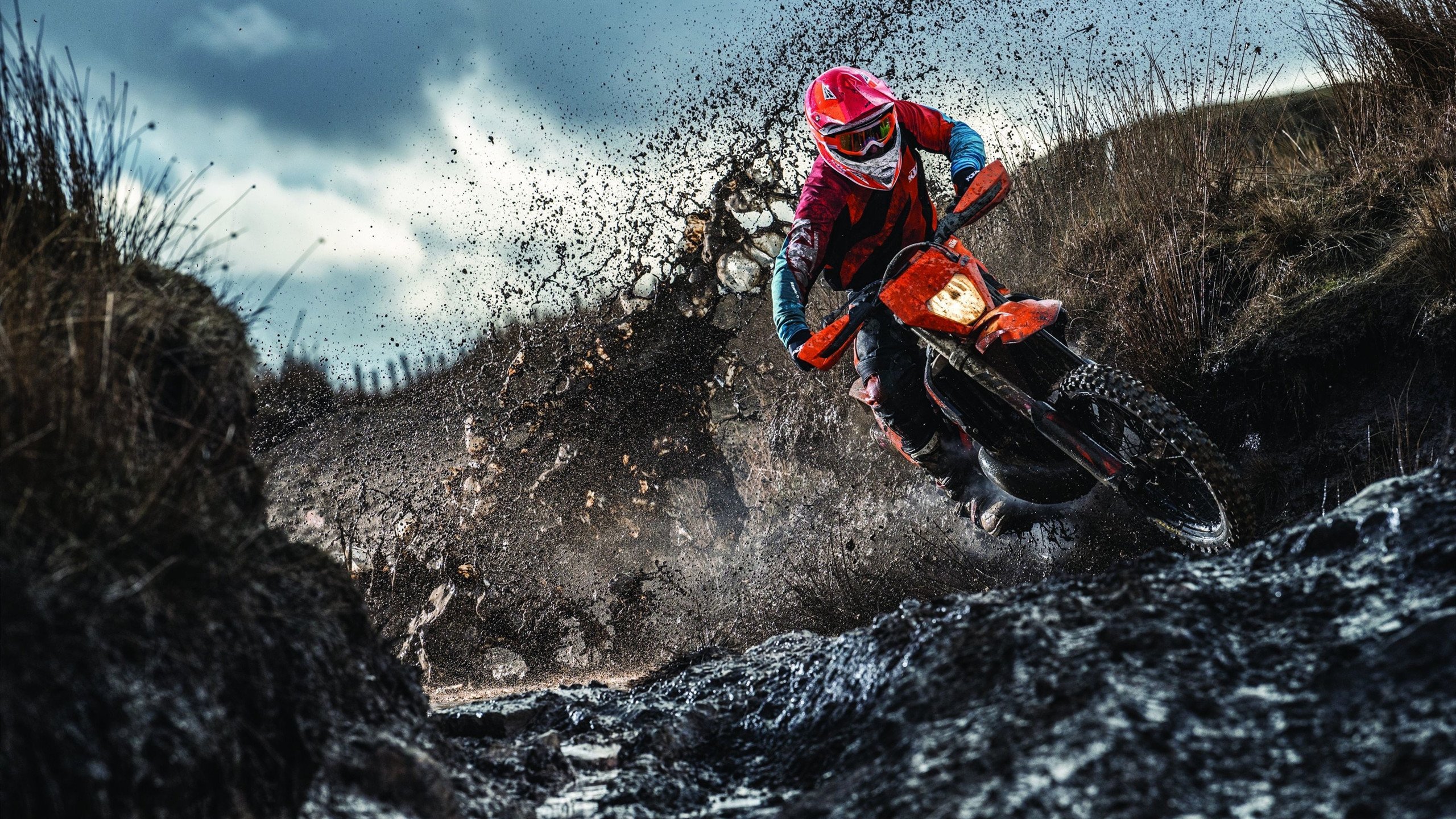 开云体育官网-时间刺客与未来风暴，体育的两种唯一性